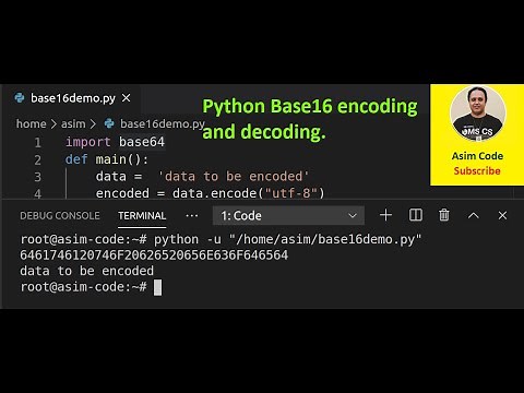 Python Base16 encoding and decoding
