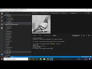 Image encryption Decryption project