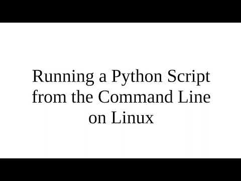 Running a Python script from the CLI on Linux