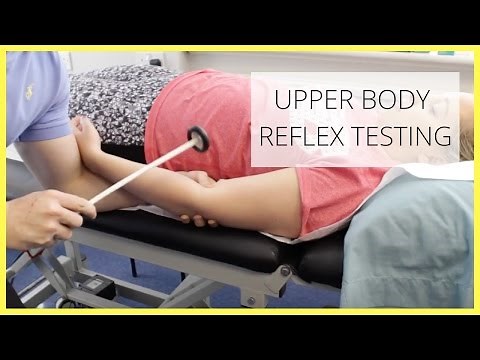 Upper Body Reflex Testing