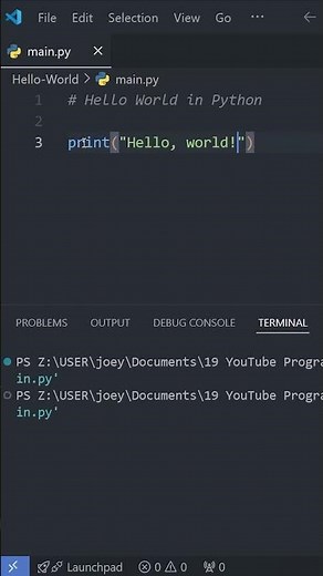 Python Basics: Your FIRST Program in Under a Minute! 🚀 🚒 🔥