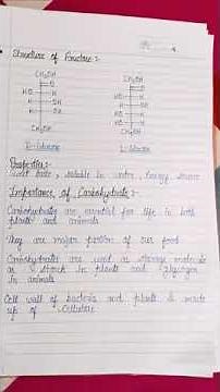 ✨ Chemistry class 12 Biomolecules project file ✨