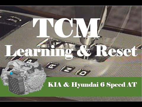 TCM Learning and Adaptive Value Reset