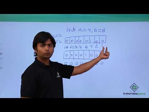 C - Bitwise Operators