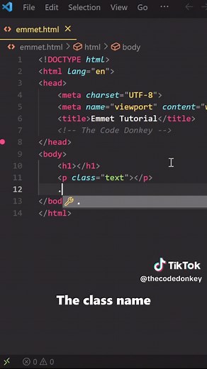 TheCodeDonkey (@thecodedonkey)’s video of html for beginners