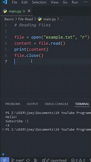 Python Basics: READ FILES in Under a Minute! 👓📂