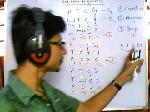 Bioinformatics part 3 Sequence alignment introduction