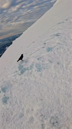 Spent the last day of 2025 on my favorite volcano. Conditions weren’t right for a full summit, it was a warm day and ice was raining off the crater wall up high. Any day you get to spend in the mountains and come home safe is a good day though. | Meathead Mountaineer