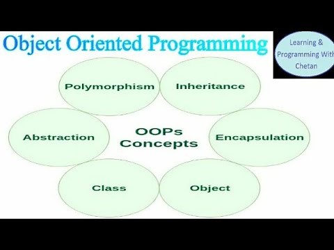Object Oriented Programming Concepts with Real Life Examples | OOPs Concepts Tutorial
