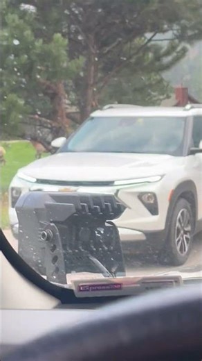 Bull Elk Charges Vehicle Twice on Mountain Road