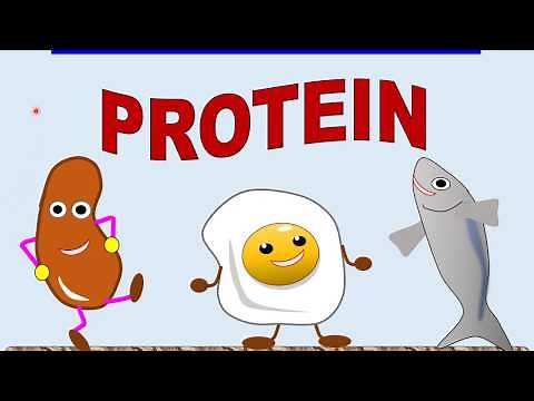 Biology Form 4 KSSM Chapter 4 (4.3) PROTEINS