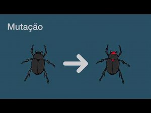 Introdução ao Algoritmo Genético - Parte 1