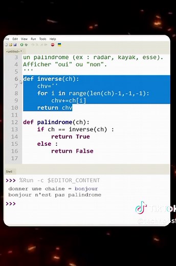 Fonction palindrome en python bac Tp #python #algorithme