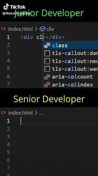 Junior Developer vs Senior Developer: Key Differences Explained