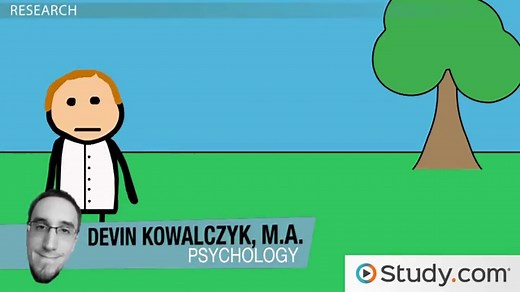 Variables in Research | Definition, Types & Examples