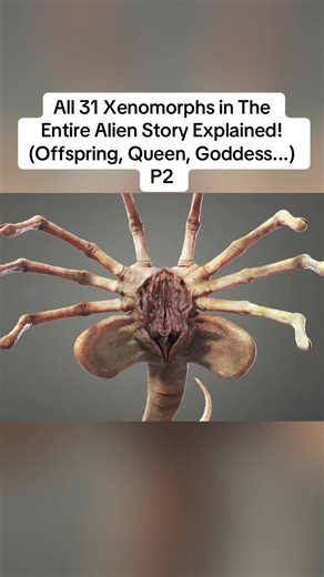 Explore the Xenomorphs of the Alien Franchise