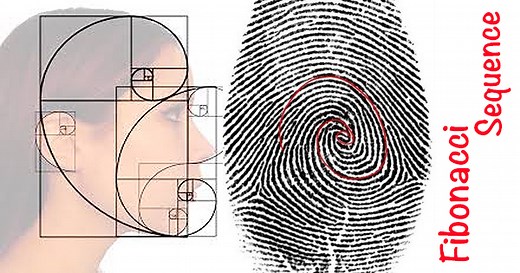 The Fingerprints Of God Are All Around Us. Just Take A Look!