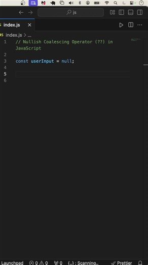 JavaScript Nullish Coalescing Operator Explained