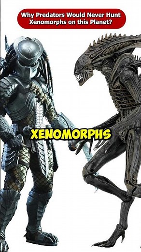 Why Predators Would Never Hunt Xenomorphs On Their Home Planet? #Shorts #Viral
