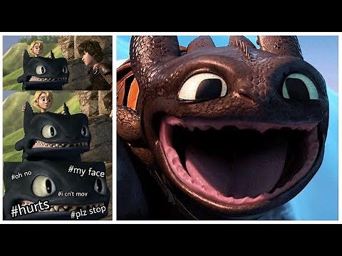 How To Train Your Dragon Memes | HTTYD Memes