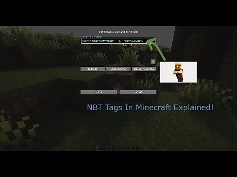 Minecraft NBT tags | Command Tutorial