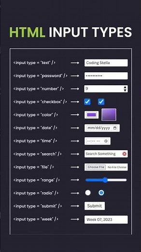 HTML Input Tutorial for Beginner's
