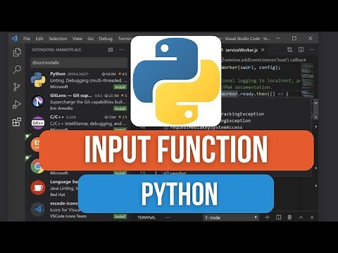 How to Use the input() Function in Python