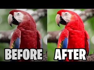 The Best and Easiest Calibration for Alienware Monitors