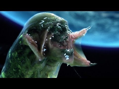 EVERY SINGLE BABY XENOMORPH...