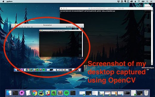 Taking screenshots with OpenCV and Python - PyImageSearch