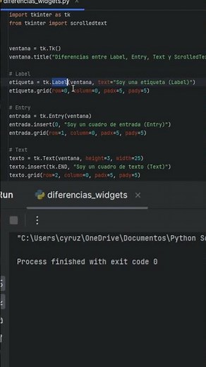 Domina los Widgets de Texto Tkinter en Python: Label, Entry, Text, ScrolledText