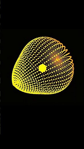 How to Make a Radial Wave Oscillation | Python full course 2025 | VPython | Creative Coding 2025