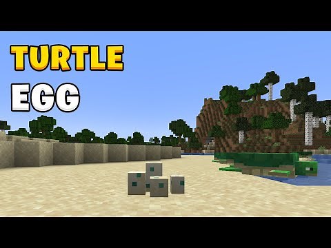 How to get turtle eggs in Minecraft 1.21