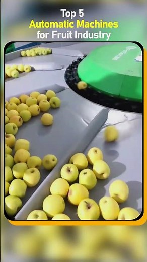 Top 5 Fully Automatic Machines for Fruit Production #automatic #machine #shorts #fruit