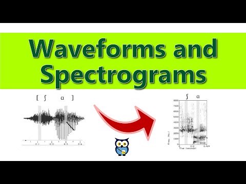 Waveforms and Spectrograms