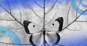 Symmetric Matrix Properties and Applications: A Guide | Built In