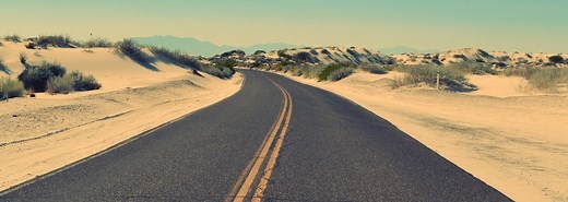 Year 12 English Advanced Study Guide