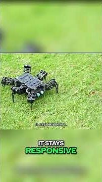 DIY Robot Spider: Build, Code, and Battle! #shorts