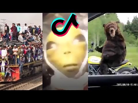 New Funny Viral TikTok Meme | Patlamaya Devam (TURKISH SONG & Russian MEMES) Alien Dank Meme