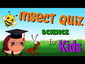 Insect Quiz | Science for Kids - Videos For Kids