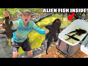 ALIEN FISH FOUND LIVING in GREEN SLIME POND!