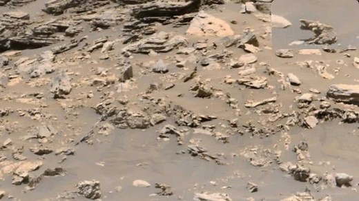 UFO expert claims to have spotted ‘weird elephant-like creature’ on Mars