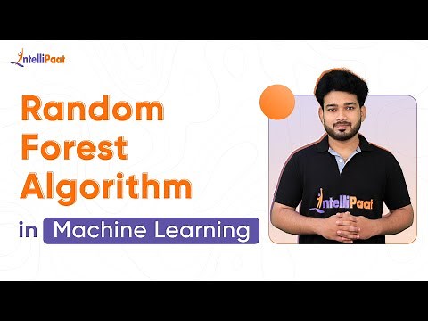 Random Forest Explained | Random Forest Algorithm in Machine Learning | Data Science | Intellipaat