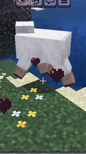 add-on combat mirip Java