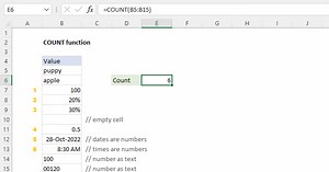 COUNT Function