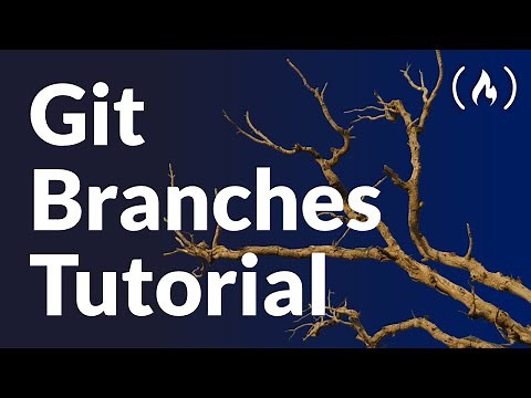 Git Branches Tutorial