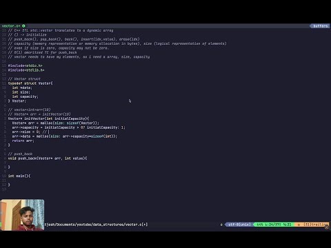 I built std::vector in C from scratch (No STL, No Magic)