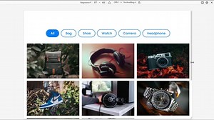 Responsive Filterable Image Gallery using HTML CSS & JavaScript