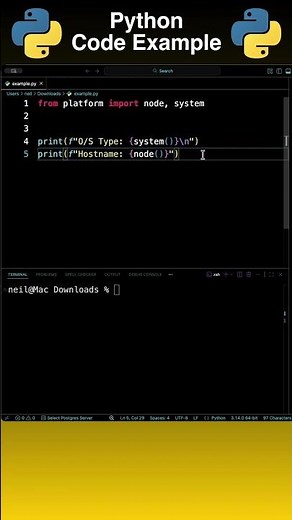 Python: Get the O/S Name and Hostname [How To]