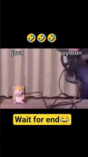 Java vs Python Programming #shorts #programming #java #python